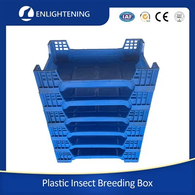 Fàbrica de papereres de compost Black Soldier Fly